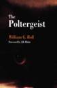 The Poltergeist Book