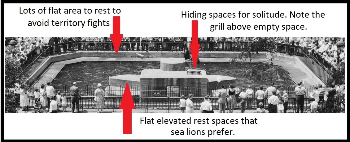 New York Central Park Seal Pool Zoo